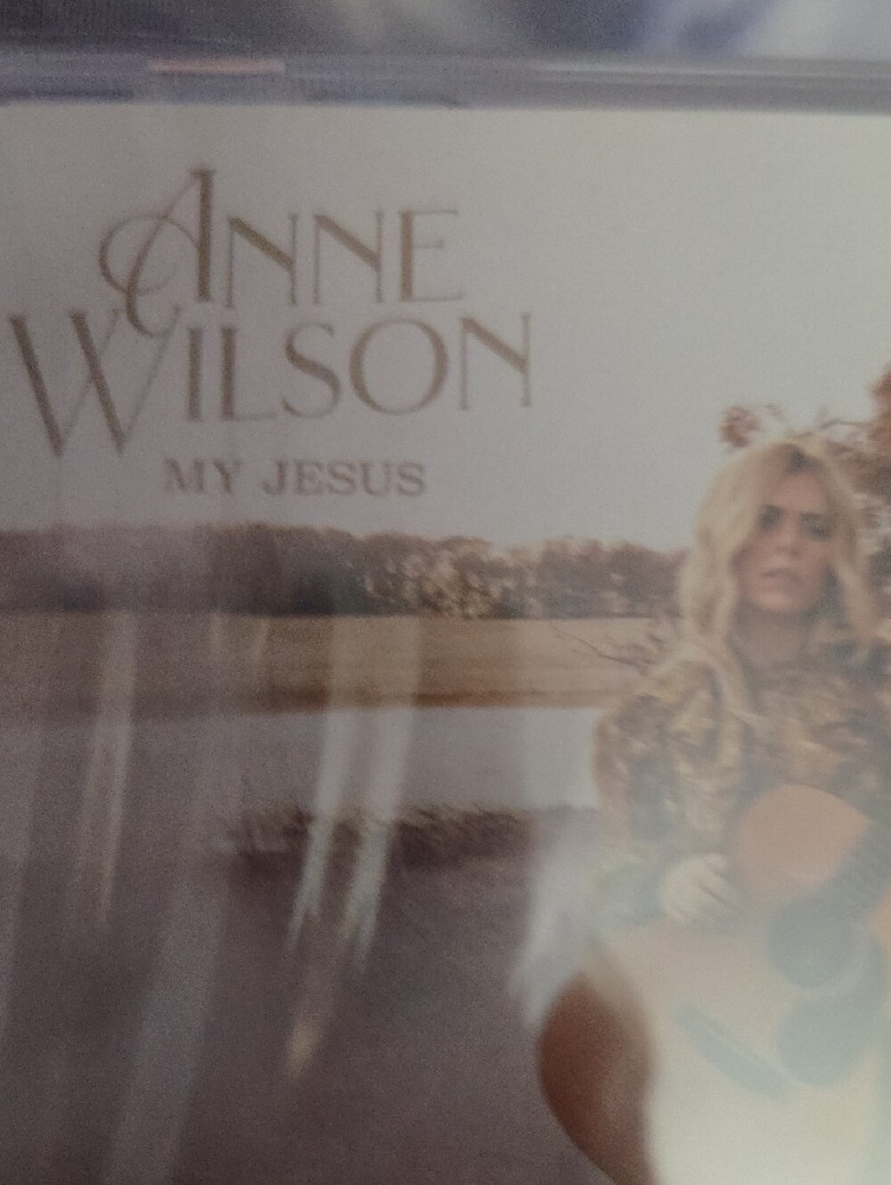Anne Wilson "My Jesus" CD — Brown & Tan Artwork New Never Opened Still Sealed - Picture 5 of 6